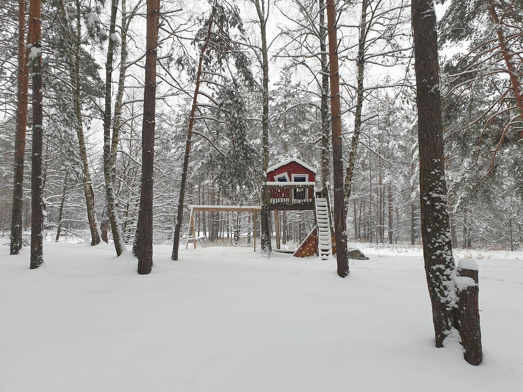 Лыжный Поход "Дом в лесу"